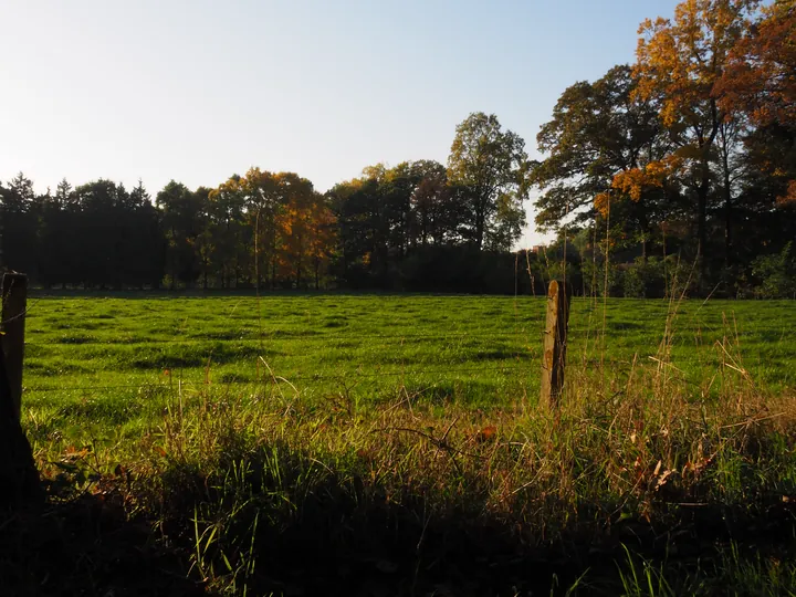 Vagevuurbos an Lippensgoed-Bulskampveld (Belgium)